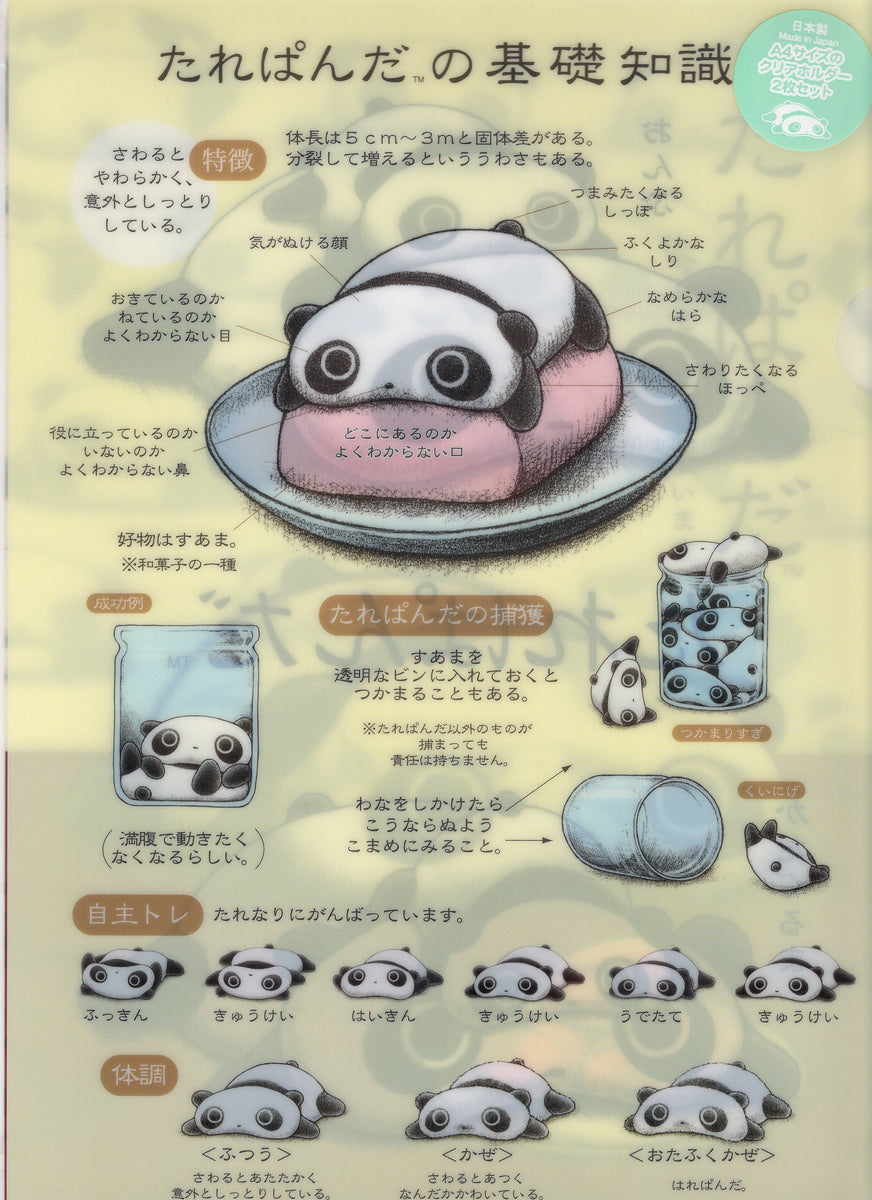 San-x Tarepanda A4 File Folder – kawaiipaperdream