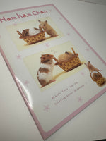 San-x 1999 Vintage Ham Ham Chan Rare Large Notebook