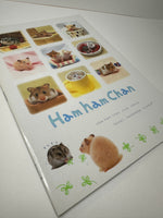 San-x 1999 Vintage Ham Ham Chan Rare Large Notebook