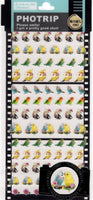 Q-Lia Vintage Photrip Birds Sticker Sheet