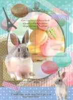 San-x 2014 Rabbit Bunny Macaron Rare A4 File Folder