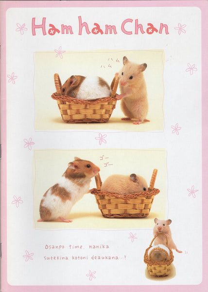 San-x 1999 Vintage Ham Ham Chan Rare Large Notebook