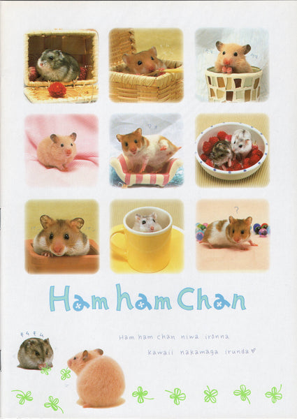 San-x 1999 Vintage Ham Ham Chan Rare Large Notebook