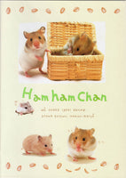 San-x 1999 Vintage Ham Ham Chan Rare Large Notebook