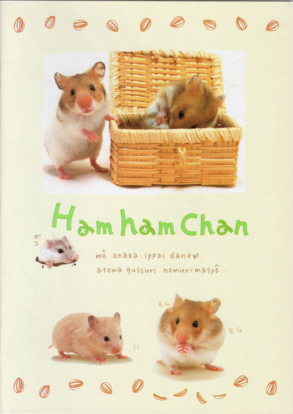 San-x 1999 Vintage Ham Ham Chan Rare Large Notebook