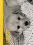 Vintage Healing Dog Puppy Golden Retriever Rare Folder Letter Set