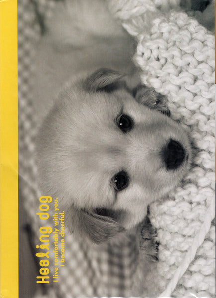 Vintage Healing Dog Puppy Golden Retriever Rare Folder Letter Set