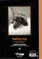 Vintage Healing Dog Puppy Miniature Dachshund Rare Folder Letter Set