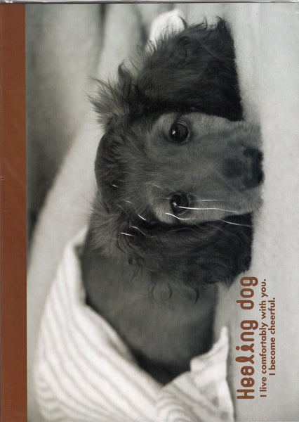 Vintage Healing Dog Puppy Miniature Dachshund Rare Folder Letter Set