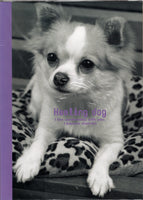 Vintage Healing Dog Puppy Chihuahua Rare Folder Letter Set