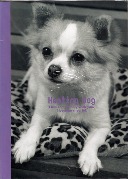 Vintage Healing Dog Puppy Chihuahua Rare Folder Letter Set