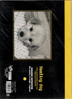 Vintage Healing Dog Puppy Golden Retriever Rare Folder Letter Set