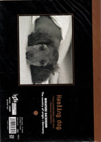 Vintage Healing Dog Puppy Miniature Dachshund Rare Folder Letter Set