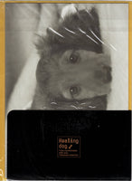 Vintage Healing Dog Puppy Miniature Dachshund Rare Folder Letter Set