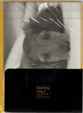Vintage Healing Dog Puppy Miniature Dachshund Rare Folder Letter Set