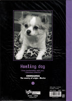 Vintage Healing Dog Puppy Chihuahua Rare Folder Letter Set