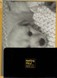 Vintage Healing Dog Puppy Golden Retriever Rare Folder Letter Set
