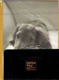 Vintage Healing Dog Puppy Miniature Dachshund Rare Folder Letter Set