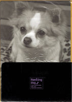 Vintage Healing Dog Puppy Chihuahua Rare Folder Letter Set