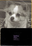 Vintage Healing Dog Puppy Chihuahua Rare Folder Letter Set