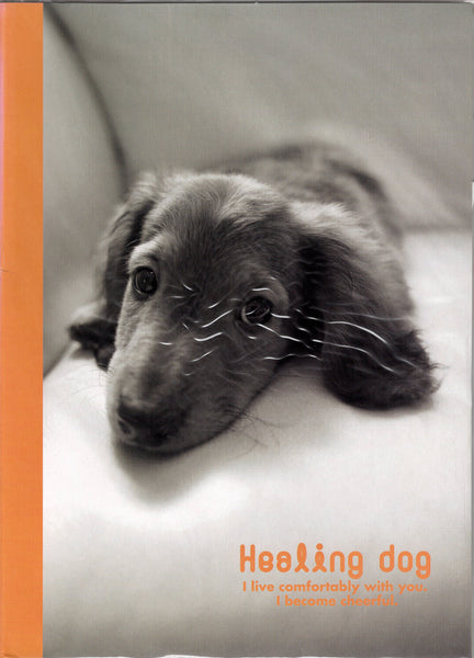 Vintage Healing Dog Puppy Miniature Dachshund Rare Folder Letter Set