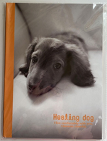 Healing Dog Vintage Rare Letter Set